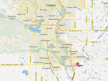 Google Map