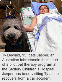Ty Dewald, 15, pets Jasper, an Australian labradoodle that’s part of a pilot pet therapy program at the Stollery Children’s Hospital. Jasper has been visiting Ty as he recovers from a car accident.