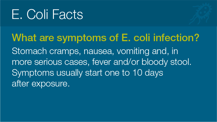 E. Coli Facts 
							What are symptoms of E. coli infection? 
							Stomach cramps, nausea, vomiting and, in
							more serious cases, fever and/or bloody stool.
							Symptoms usually start one to 10 days
							after exposure.