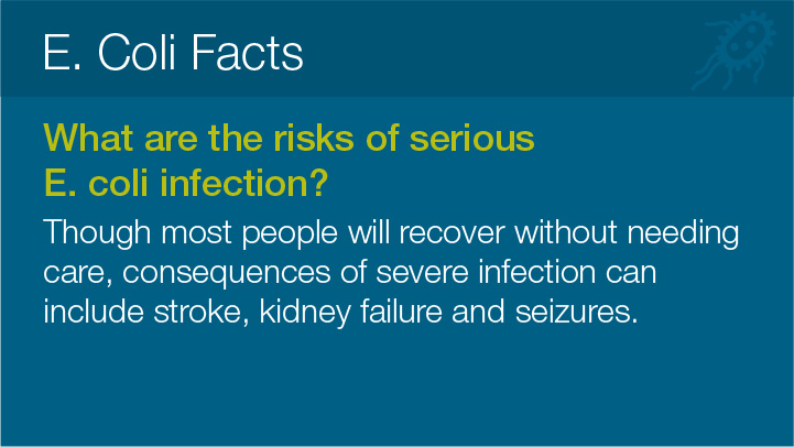 E. Coli Facts 
							What are the risks of serious E. coli infection? 
							Though most people will recover without needing
							care, consequences of severe infection can
							include stroke, kidney failure and seizures.