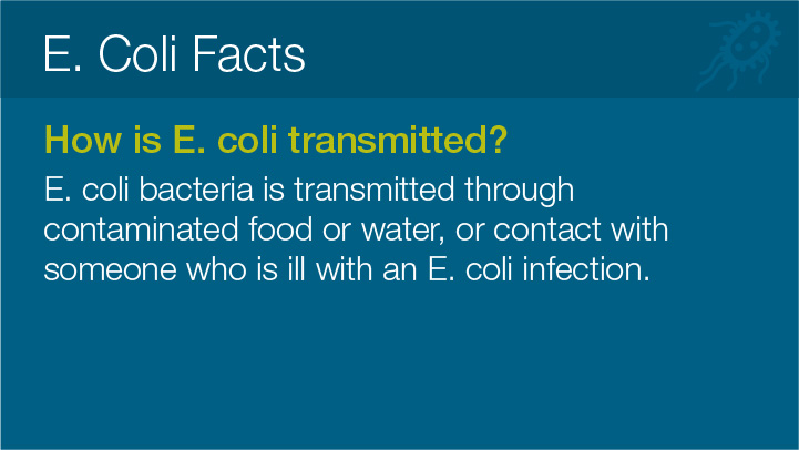 E. Coli Facts 
							How is E. coli transmitted? 
							E. coli bacteria is transmitted through
							contaminated food or water, or contact with
							someone who is ill with an E. coli infection.
							