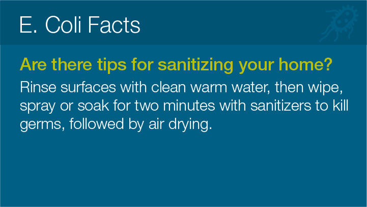 E. Coli Facts 
							Are there tips for sanitizing your home? 
							Rinse surfaces with clean warm water, then wipe,
							spray or soak for two minutes with sanitizers to kill
							germs, followed by air drying.