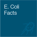 E. Coli Facts 
What is E. coli? 
E. coli is a bacteria that normally live in the
intestines of people and animals. Most E. coli
types are harmless but some can cause mild to
serious illness.