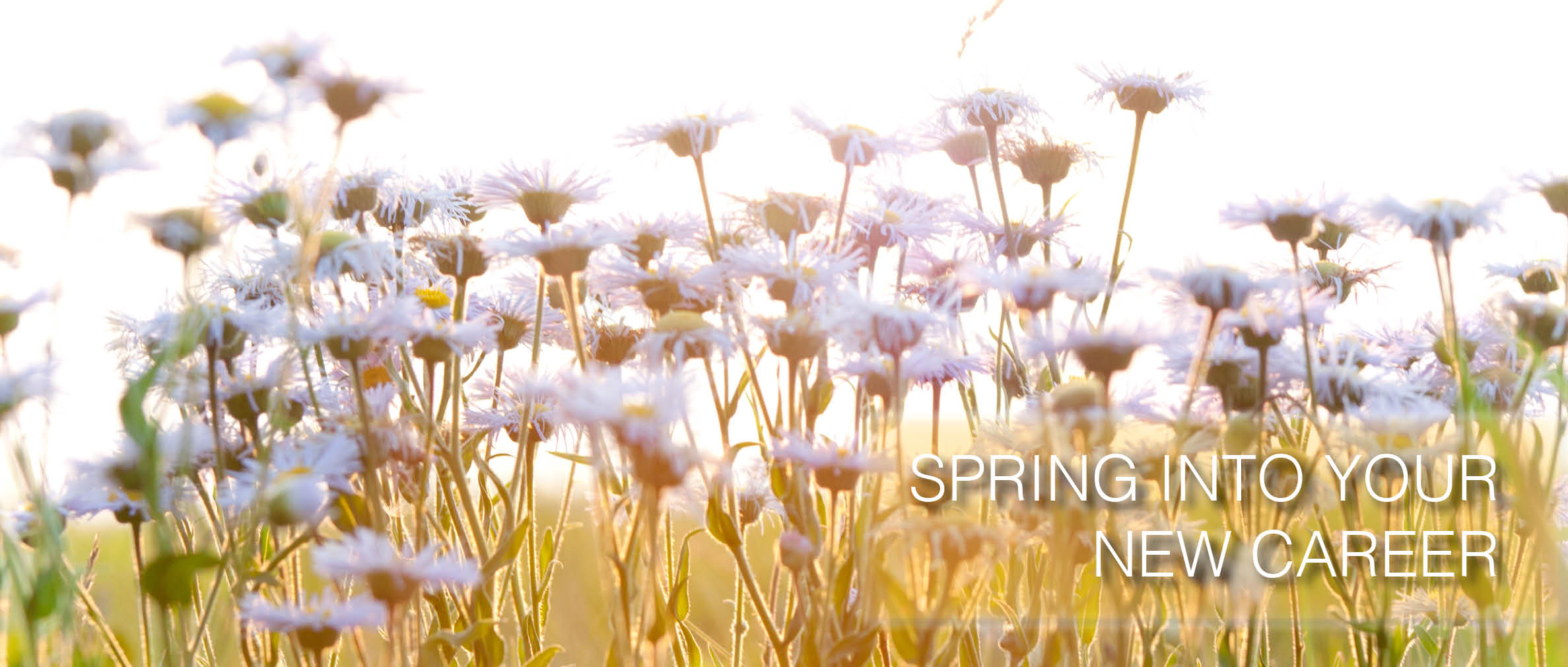 Careers Alberta Health Services