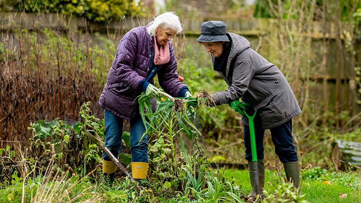 two women gardening