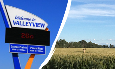 Valleyview