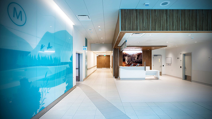 a welcome desk with design accents and an otter wall