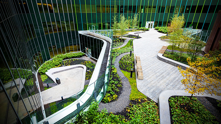 beautiful outdoor garden atrium