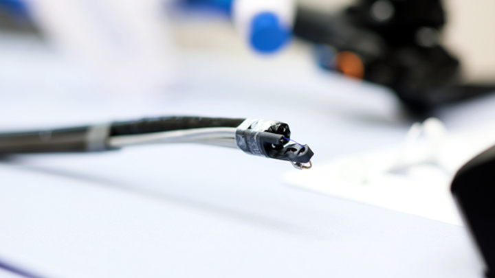 The endoscopic device allows physicians to sew a series of stitches along the curvature of the stomach, which are then cinched tight, creating a smaller stomach. Photo by Evan Isbister.