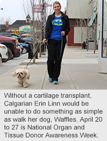 Without a cartilage transplant, Calgarian Erin Linn would be unable to do something as simple as walk her dog, Waffles. April 20 to 27 is National Organ and Tissue Donor Awareness Week.