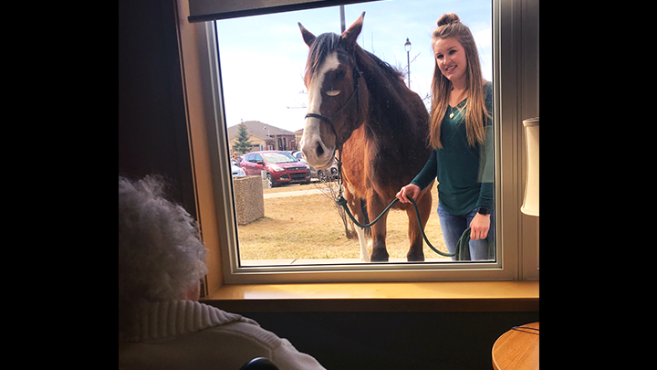 Recreation Therapist Alicia Parker tours her horse, Sahara, outside the windows of residents of Extendicare Michener Hill in Red Deer.