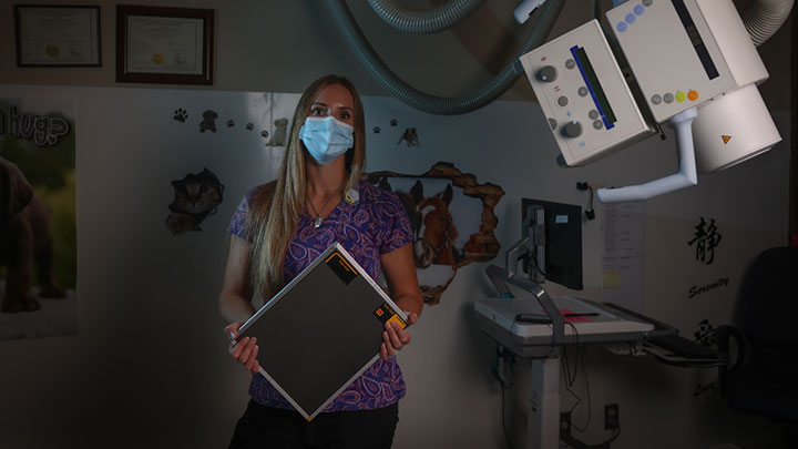 Marissa Jenkins has worked as a combined laboratory and X-ray technologist (CLXT) at Didsbury District Health Services for a decade. Alberta is home to almost 600 CLXTs, the largest number in the country.