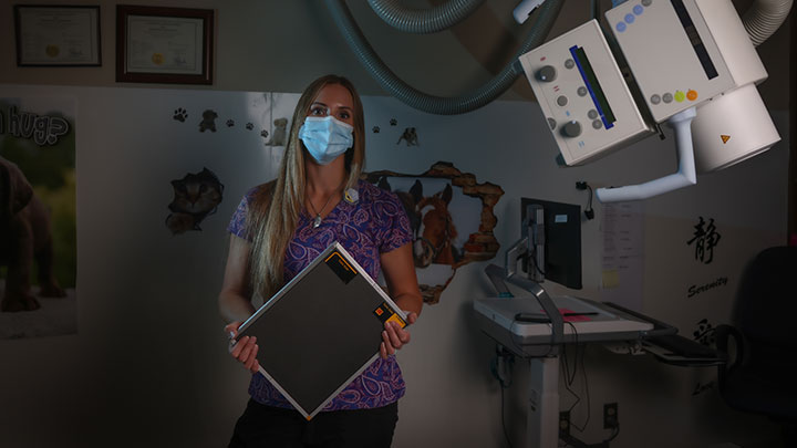 Marissa Jenkins has worked as a combined laboratory and X-ray technologist (CLXT) at Didsbury District Health Services for a decade. Alberta is home to almost 600 CLXTs, the largest number in the country.