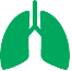 Lungs