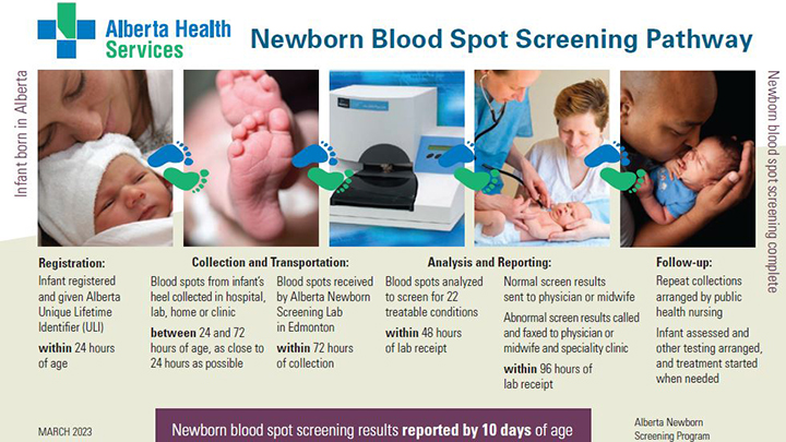 Newborn Blood Spot Screening Pathway