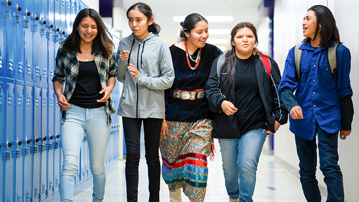 Indigenous Health Services