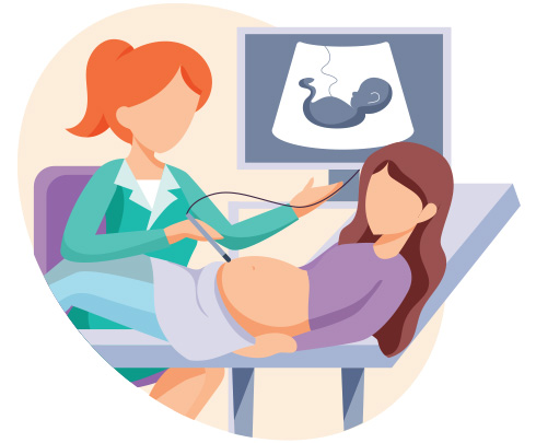 Cannabis Pregnancy & Breastfeeding