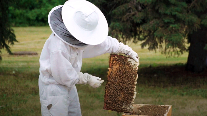 Buzzworthy project boosts mental health, mindfulness