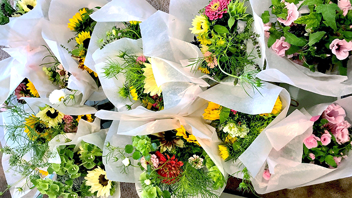 Dana Lyons’ non-profit, Street Sisters Society, gifts bouquets of flowers to a Senior Supportive Living facility, where a group volunteers their time to make up shampoo kits and period packs for folks in need. The flowers in each bouquet are all grown from seed in Lyons’ backyard and include lavatera, sunflowers, cinnamon basil, bells of Ireland, zinnia, cosmos and dill.