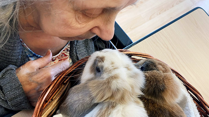 Vera Marston, a long term care resident at Northwest Health Centre in High Level, cozies up to her new long-eared pals Marvin and Henry.