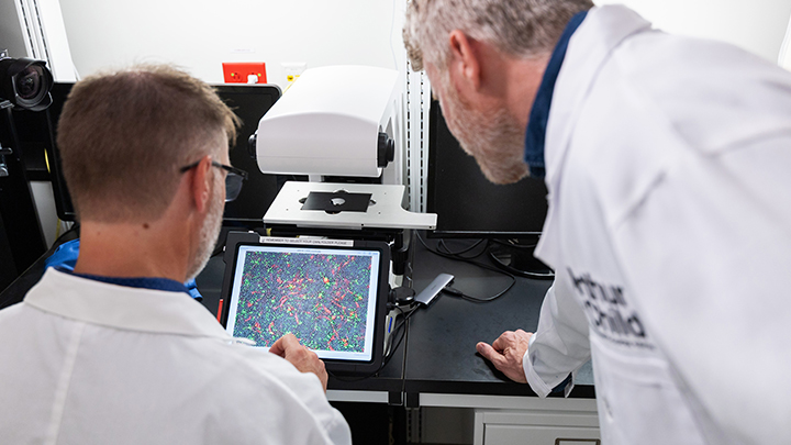 Microscope analysis can observe CAR T-cell productivity in recognizing and attacking cancer cells.
