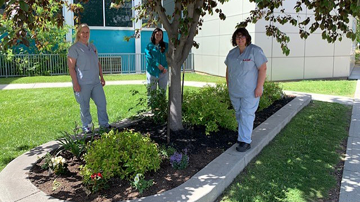 Maureen Fraser G., left, Mary Ann Horvat and Lisa Cave pose with their adopted planter across from Anderson Hall at the Royal Alexandra Hospital in Edmonton. The trio of registered nurses, who love to garden in their spare time, spruced up the planter by trimming bushes, cleaning up dirt and planting their donated flowers for all to enjoy.