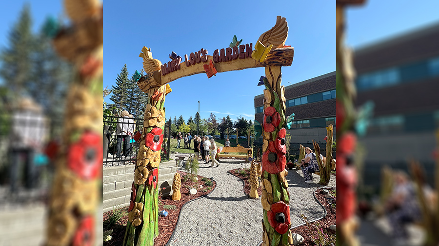 Local chainsaw artist Kelly Davies repurposed trees in the area into an art installation, benches, butterflies for the Sturgeon Community Hospital’s healing garden. He turned existing trees into an archway for the garden’s namesake, the late Mary Lou McKenzie.