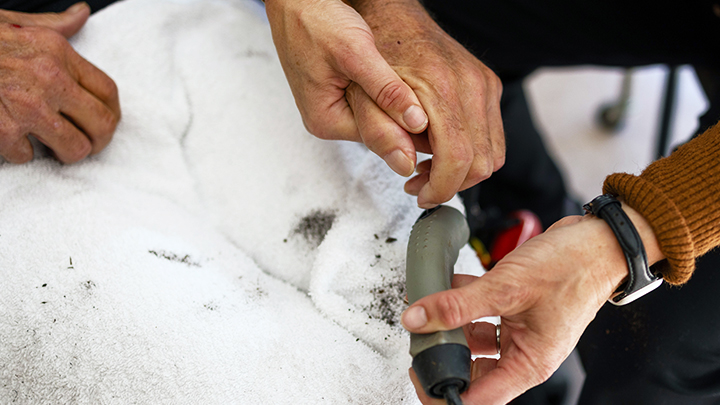 “I get to have a real working relationship with the clients I work with, because I see them from acute care to home,” says Bishop. “It is incredibly rewarding to help clients with what they need and want to do.” Here she tends to Root’s hand.