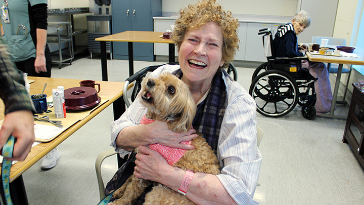 When Paisley showed up at breakfast time, Sheila Wright’s face lit up with joy. When she leaned in for a snuggle, Paisley the labradoodle was only too happy to oblige at Chinook Regional Hospital.