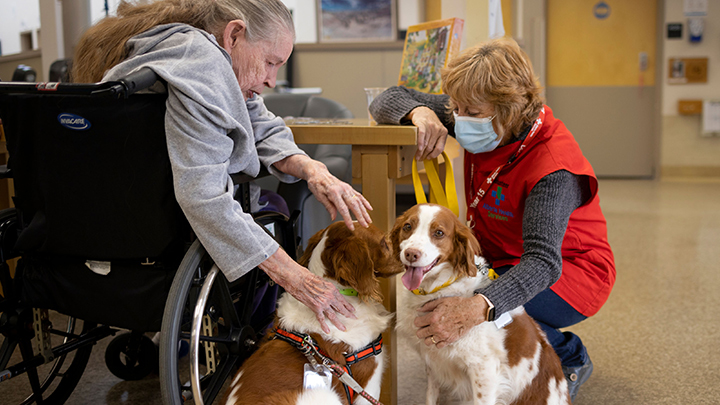Volunteer Sally Bartman, right, spreads tail-wagging happiness at the Brooks Health Centre with Beckett and Chevy, her Brittany Spaniels.