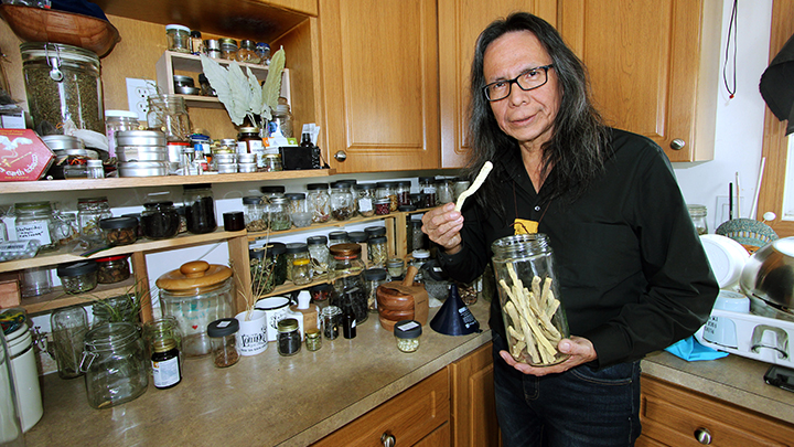 William Singer, in the kitchen of his home, takes a dried licorice root from a jar to explain it’s medicinal qualities. Beside him is an assortment of dried leaves, roots and berries he uses for food, tea, medicine and in ceremonies.