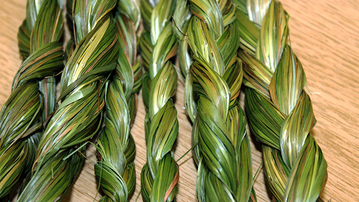 These braided strands of sweetgrass, picked on the Kainai Nation, will be used for ceremonial purposes.