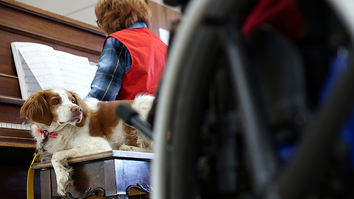 Fergie keeps a watchful eye on the audience as Sally Bartman performs Perfect, an Ed Sheeran tune. A Brittany breed, Fergie is a friendly, bright dog who’s full of energy — and loved for her sweet disposition during pet therapy with residents, patients and staff at health centres in Brooks and Bassano, where Bartman volunteers each month.